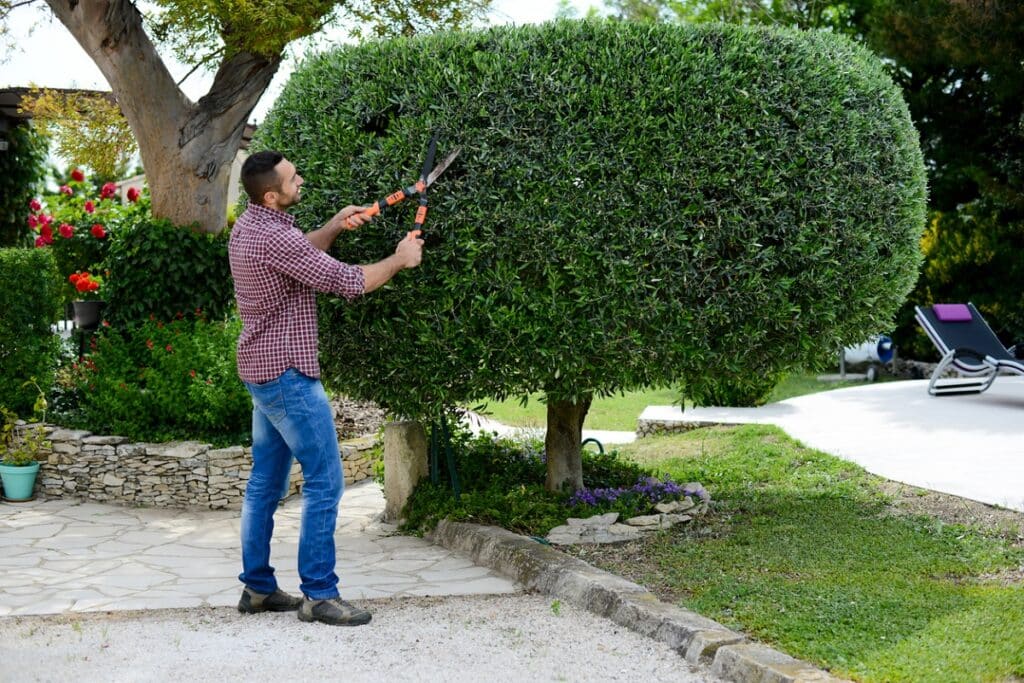 gardener trimming