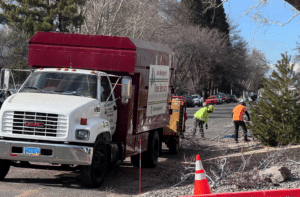 Tree Removal in Indian Hills, NV