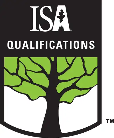 ISA Tree Risk Assessment Qualification (TRAQ) - Joe Benigno's Tree Service
